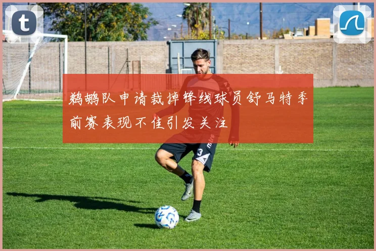 鹈鹕队申请裁掉锋线球员舒马特季前赛表现不佳引发关注